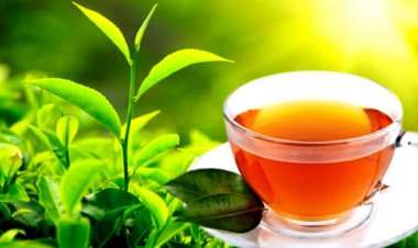 பல தேயிலை தொழிற்சாலைகளின் செயற்பாடுகள் நிறுத்தம்