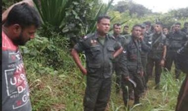 ஏலம் பறிக்கச் சென்ற பெண்ணுக்கு நடந்தது என்ன?