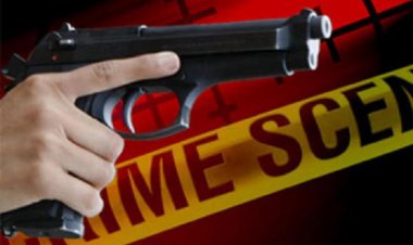 வத்தளையில் துப்பாக்கிச் சூடு; ஒருவர் பலி