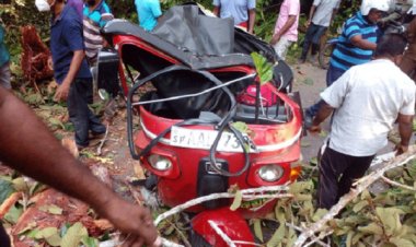முறிந்து விழுந்த மரக்கிளை: ஒரே குடும்பத்தை சேர்ந்த நால்வர் படுகாயம்