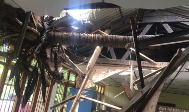 தென்னைமரம் விழுந்து 10 மாணவர்கள் காயம்