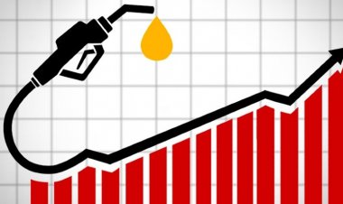 CEYPETCO & Lanka IOC Fuel Prices Increased