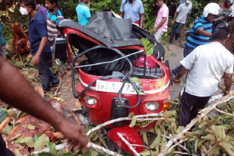 முறிந்து விழுந்த மரக்கிளை: ஒரே குடும்பத்தை சேர்ந்த நால்வர் படுகாயம்