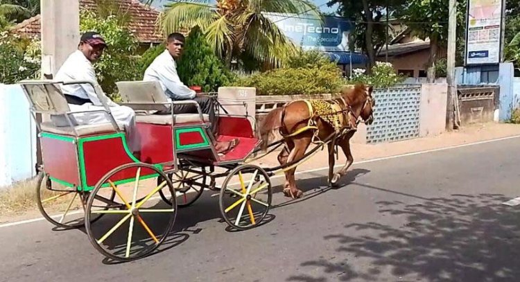 Horse carriages in Jaffna