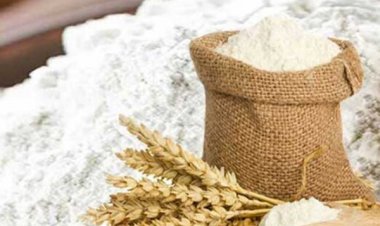 250 ரூபாயாக குறைக்கப்படும் கோதுமை மாவின் விலை