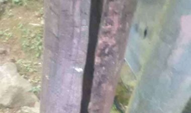 உக்கிய மின்சார கம்பங்களால் அச்சத்தில் தோட்ட மக்கள்