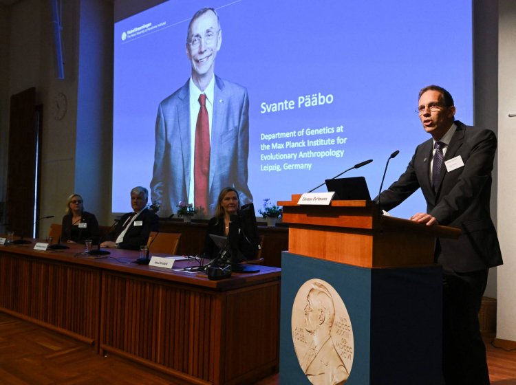 Swedish scientist Svante Pääbo receives Nobel Prize