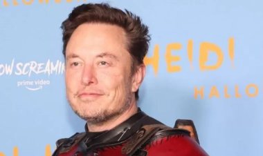 ட்விட்டர் அலுவலகங்களை தற்காலிகமாக மூடும் ஈலோன் மஸ்க்கின் அறிவிப்பு