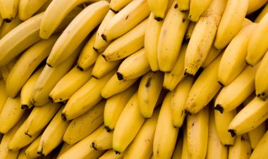 விவசாயத் திணைக்களத்தின் அலட்சியத்தால் வாழைப்பழ ஏற்றுமதி இரத்து!