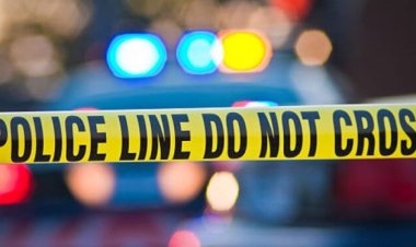 பம்பலப்பிட்டி பாதசாரி கடவை விபத்தில் ஒருவர் பலி