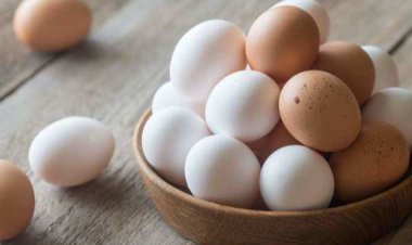 முட்டைக்கு தட்டுப்பாடு? வெளியான தகவல்!