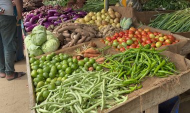 பண்டிகைக் காலத்தில் மரக்கறிகளின் விலை உயரும் அபாயம்