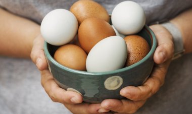 முட்டையை 50 ரூபாய்க்கு வழங்க முடியும் - உணவு பாதுகாப்பு அமைச்சு