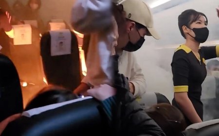 விமானத்தில் தீப்பிடித்த பவர் பேங்க்..! பயணிகள் பீதி