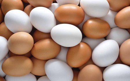 முட்டைக்கு விரைவில் விலை சூத்திரம்?