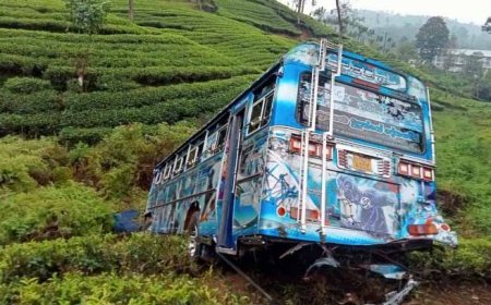 நானுஓயா விபத்து – பஸ் சாரதி கைது