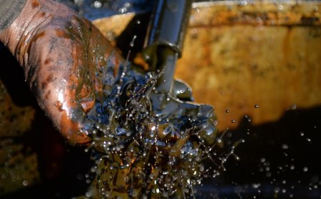 உலக சந்தையில் கச்சா எண்ணெய் விலை அதிகரிப்பு