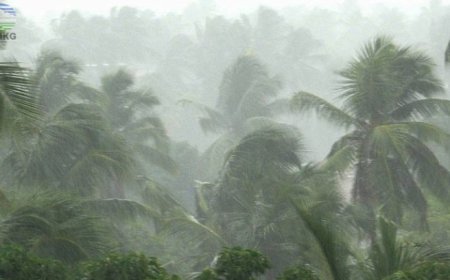 நாடு முழுவதும் நகர்ந்து வருவம் காற்றழுத்த தாழ்வு நிலை 