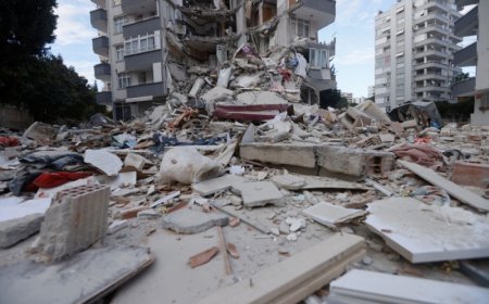 Chinese earthquake rescue team arrives in Turkey