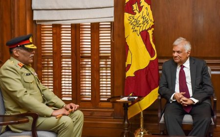 பாகிஸ்தான் அதிகாரி ஜனாதிபதியை சந்தித்தார்