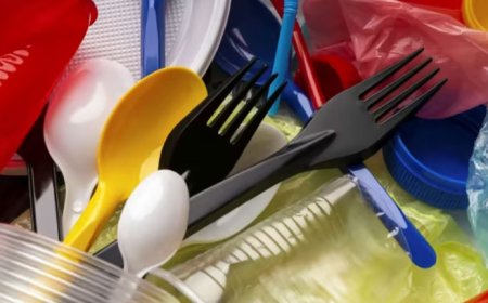 பிளாஸ்டிக் தயாரிப்புகள் பலவற்றுக்கு தடை