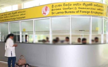 கொரிய மொழித் திறன் பரீட்சை பெறுபேறுகள் வெளியானது