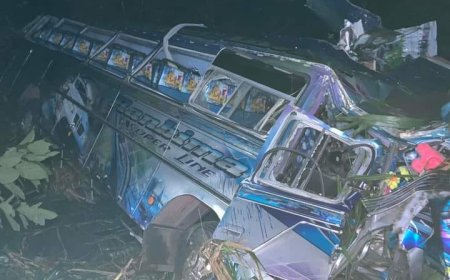 நோட்டன்பிரிட்ஜ் பஸ் விபத்து - இருவர் பலி - 28 பேர் காயம்