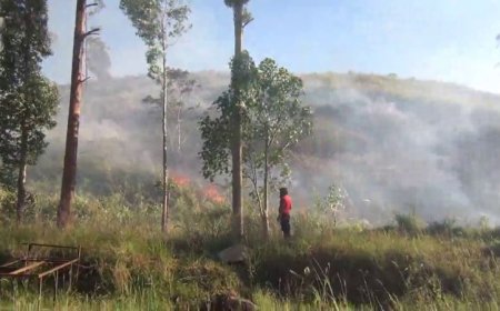 கொட்டகலையில் பல ஏக்கர் புற்தரை  தீயில் எரிந்து நாசம்