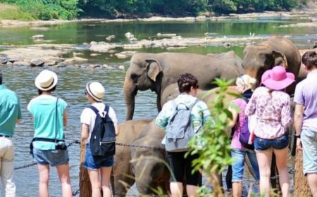 முதல் முறையாக 100,000க்கும் மேற்பட்ட சுற்றுலாப் பயணிகள் வருகை 
