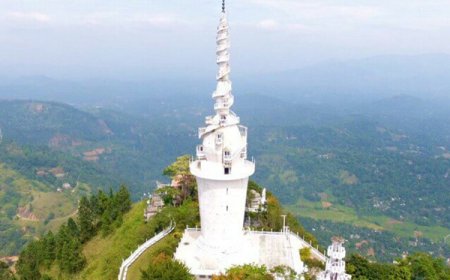 எலான் மஸ்கின் கவனத்தை ஈர்த்த இலங்கை கோபுரம்!