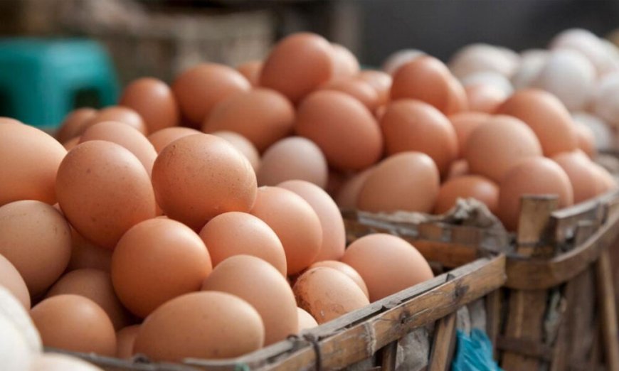 முட்டை விலை குறைப்பு தொடர்பில் அமைச்சர் அறிவிப்பு