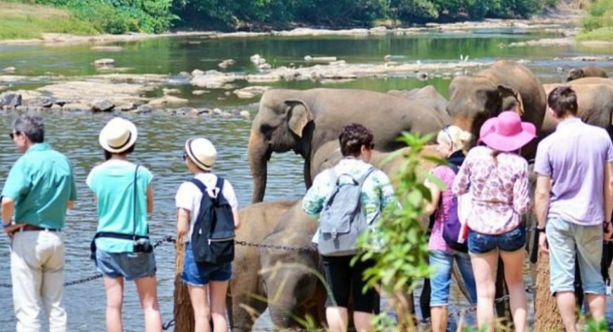 சுற்றுலா பயணிகளின் எண்ணிக்கை அதிகரிப்பு
