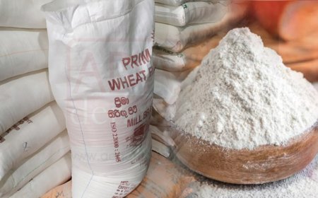 கோதுமை மாவின் விலை குறைப்பு; வெளியான அறிவிப்பு