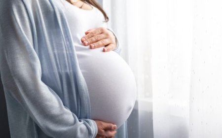 கர்ப்பிணியான தங்கை - சகோதரன்  கைது 