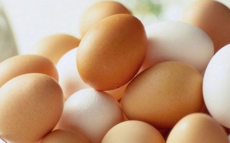 இந்தியாவில் இருந்து முதல் தொகுதி முட்டை நாட்டுக்கு இறக்குமதி