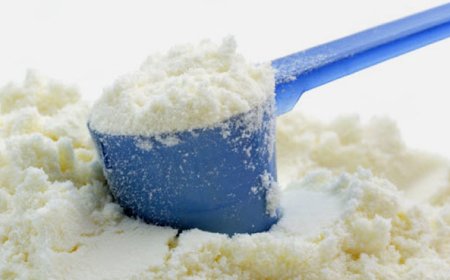 இறக்குமதி செய்யப்படும் பால்மா விலை குறைப்பு