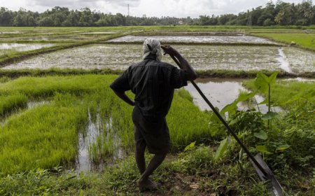 விவசாயிகளுக்கு இரண்டு தவணை உதவித்தொகை