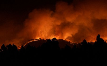 கிழக்கு ஸ்பெயினில் பற்றி எரியும் காட்டுத் தீ