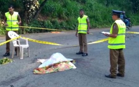 வாகனம் மோதியதில் சம்பவ இடத்திலேயே மூதாட்டி பலி