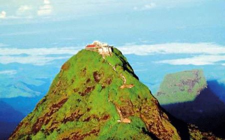 மலையில் மலைப்போல் குவியும் பிளாஸ்டிக் கழிவுகள்