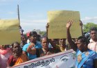 பொருளாதார நெருக்கடிகளோடு விவசாயிகளைப் பந்தாடும் யானைகள்