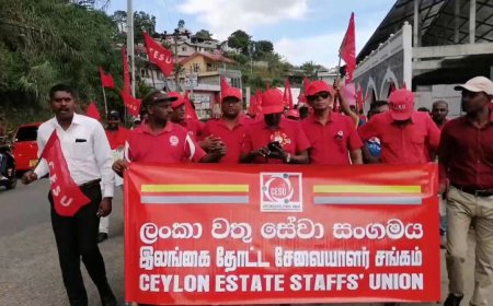 ஹட்டனில் இலங்கை தோட்ட சேவையாளர் சங்கத்தின் மே தின பேரணி