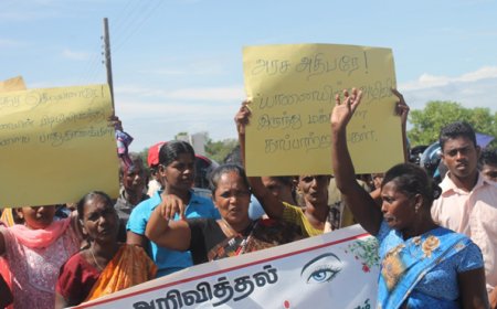 பொருளாதார நெருக்கடிகளோடு விவசாயிகளைப் பந்தாடும் யானைகள்