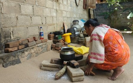 வன்முறைகள் பரிசளித்த வாழ்க்கை