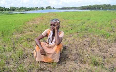 பொருளாதார நெருக்கடியால் பாதிக்கப்பட்ட விவசாயிகள்