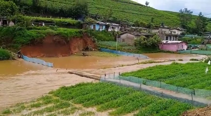 மலையகத்தில் பெய்து வரும் மழை காரணமாக வீடுகள் மற்றும் விவசாய நிலங்கள் பாதிப்பு