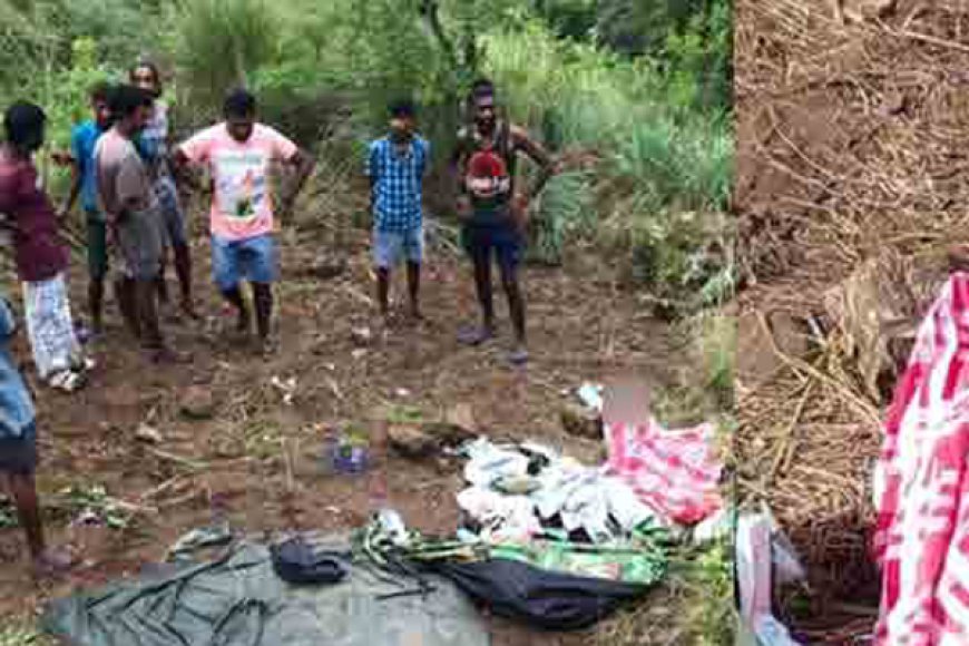   காட்டு யானையின் தாக்குதலுக்கு இலக்காகி இளம் பெண் உயிரிழப்பு