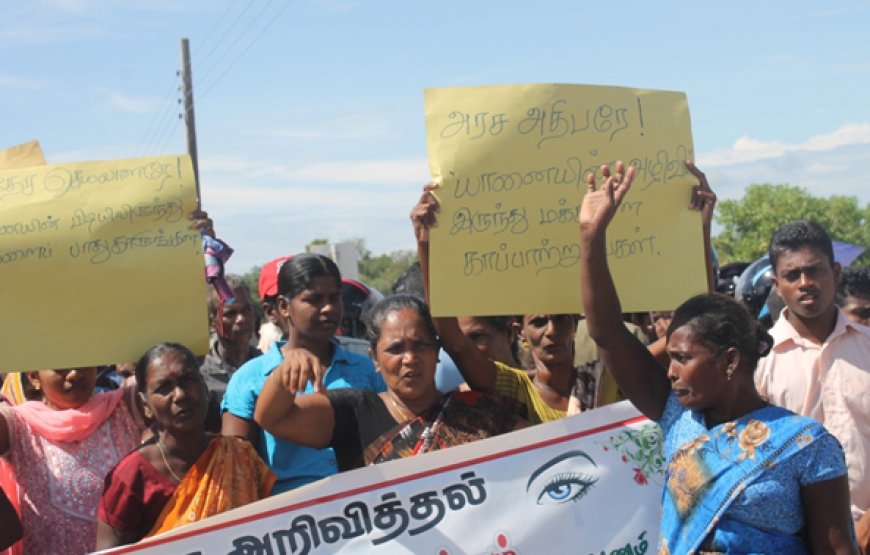 பொருளாதார நெருக்கடிகளோடு விவசாயிகளைப் பந்தாடும் யானைகள்