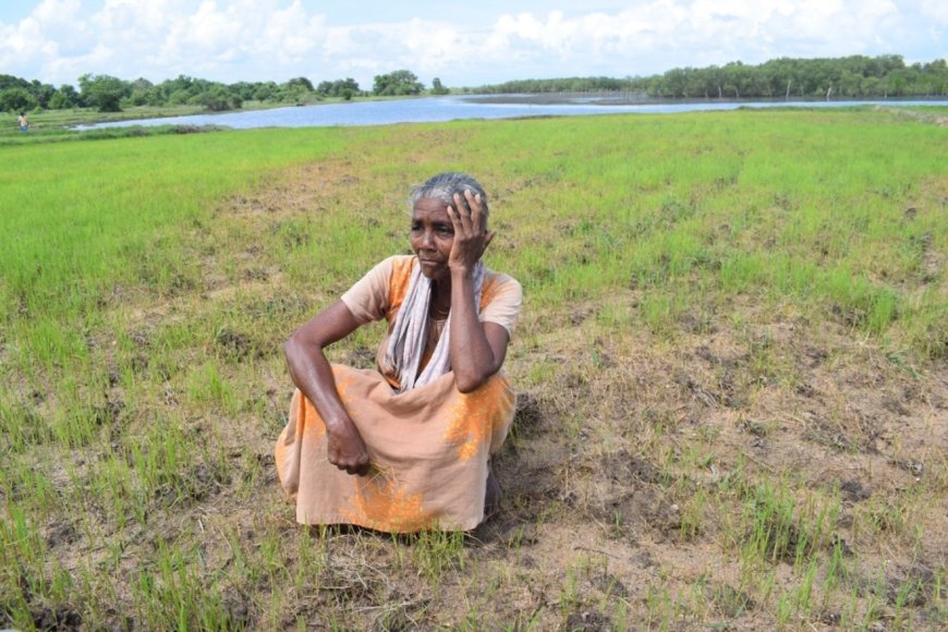 பொருளாதார நெருக்கடியால் பாதிக்கப்பட்ட விவசாயிகள்