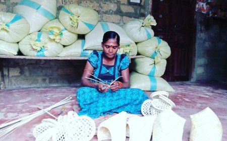 Daily challenges faced by women headed families due to economic crisis in Sri Lanka
